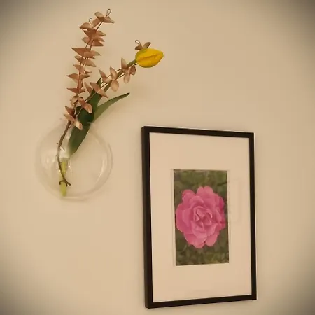 In Apartment